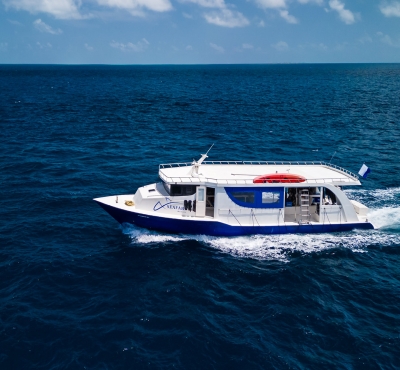 Seafari Explorer 2