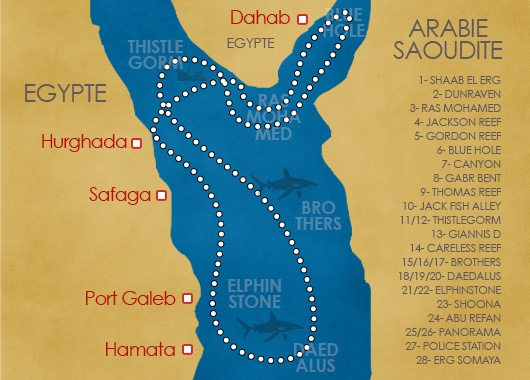 Premium Expédition 10N