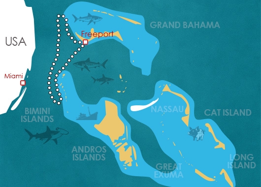 APEX BAHAMAS AVEC ANDRIANA FRAGOLA